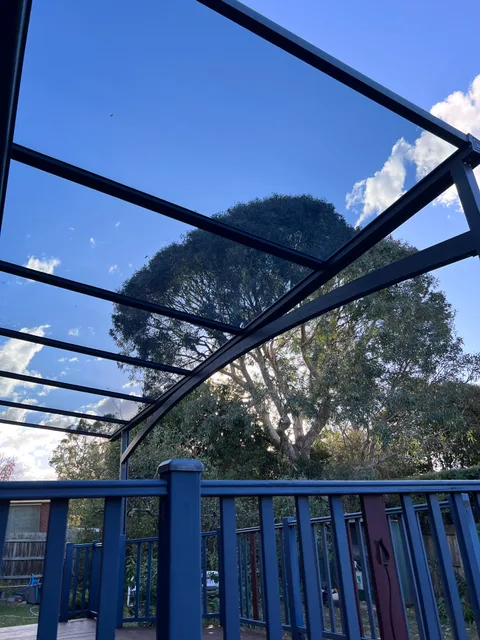 Clearview installation: Trees beyond the transparent roof
