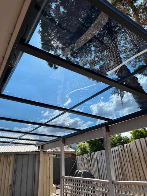 Clearview installation: Looking through the roof toward nearby trees
